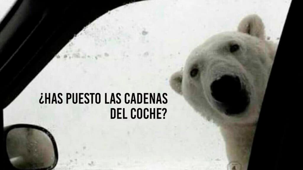 Borrasca Filomena como circular con cadenas o nieve